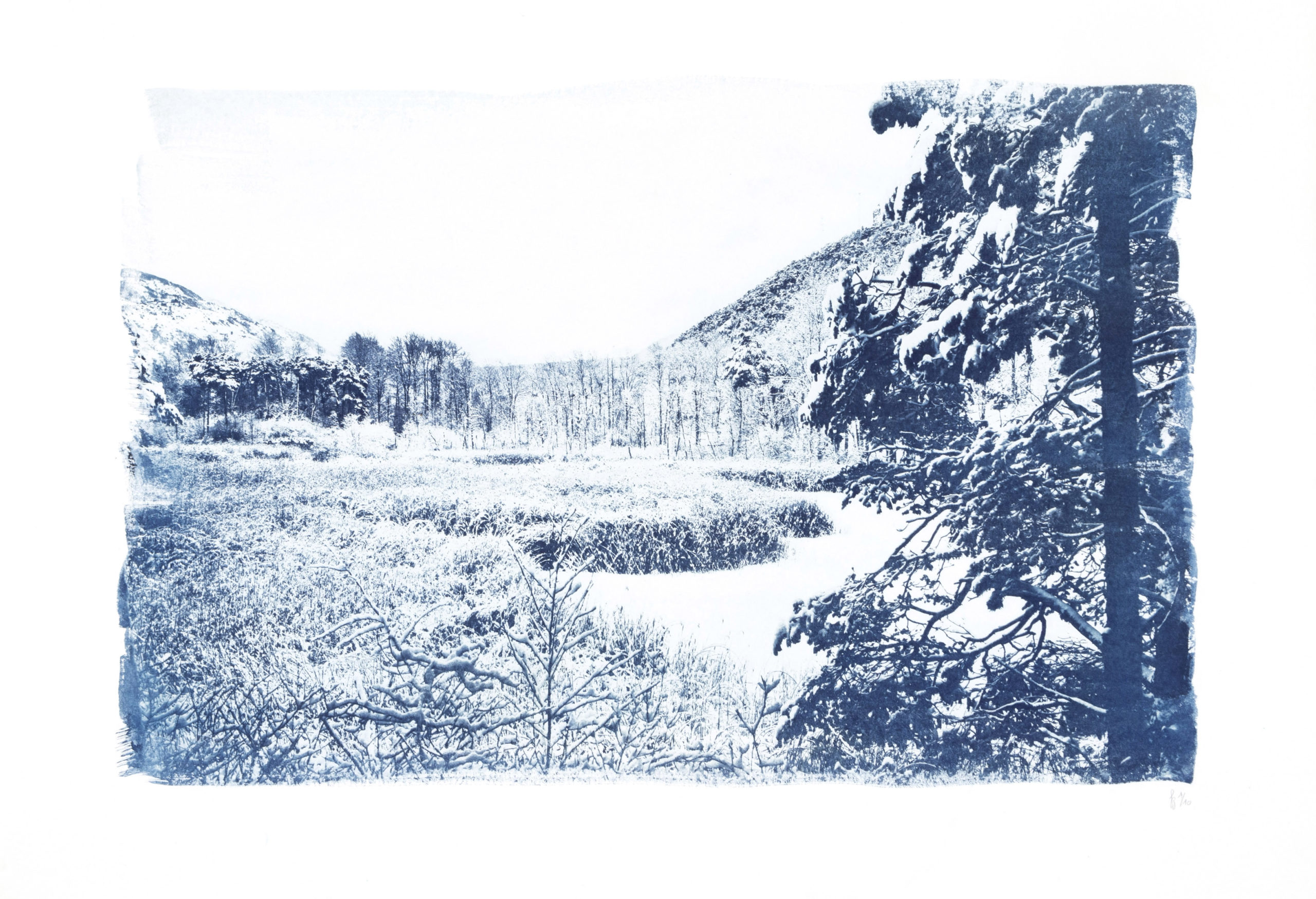cyanotype "winter I"