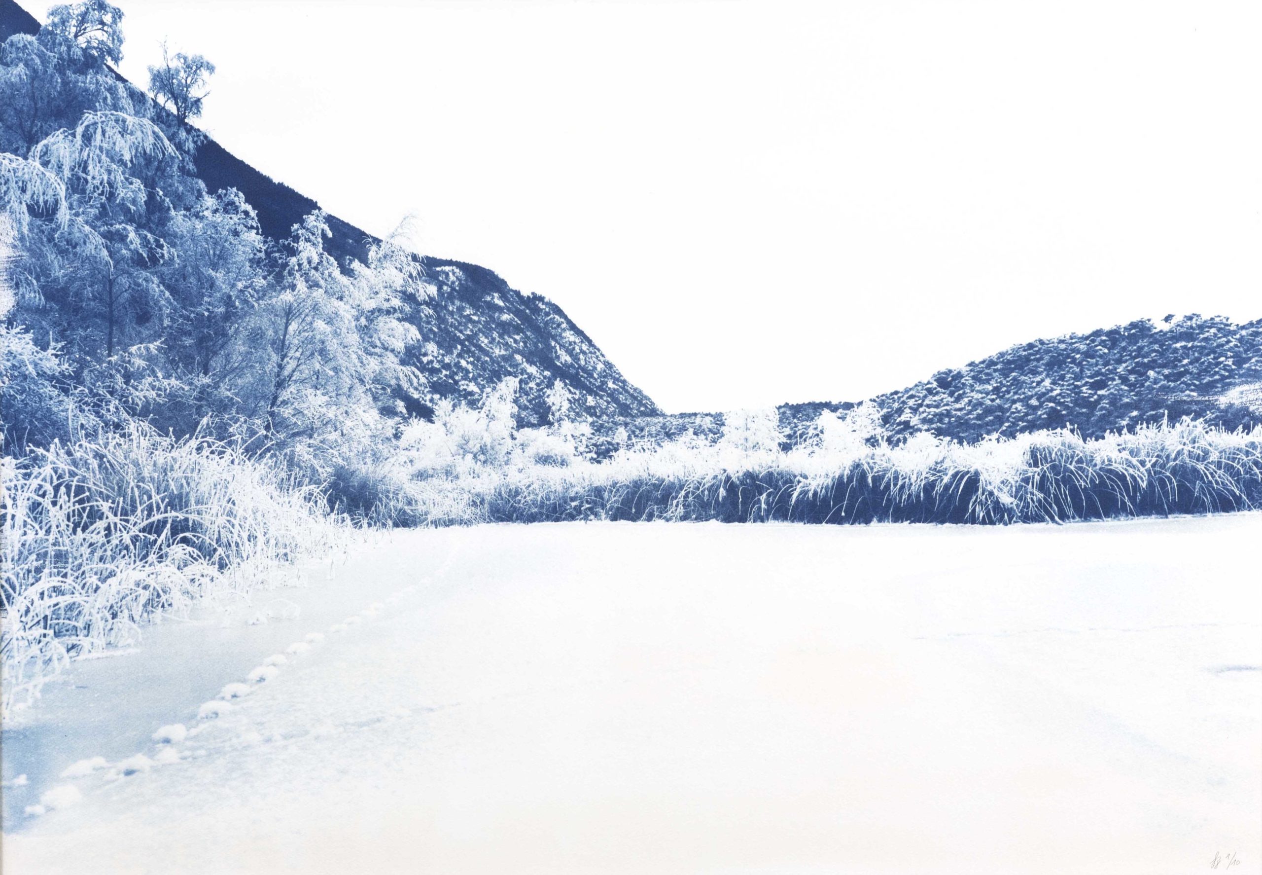 cyanotype "winter III"